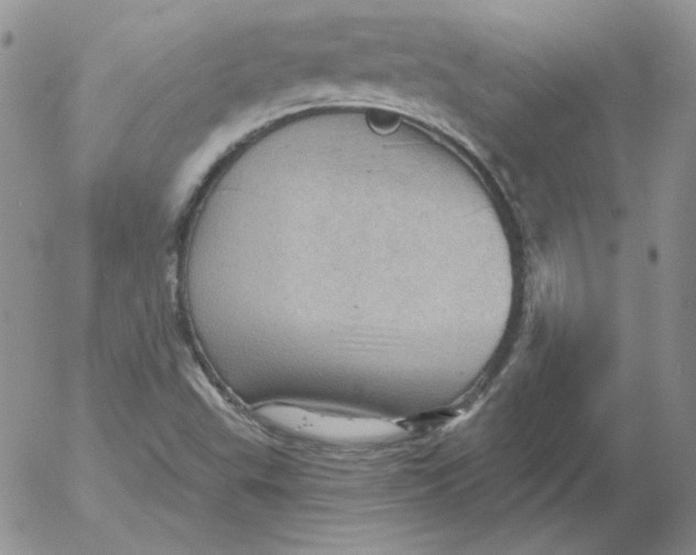 X0000053081503200508011952