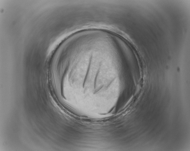 X0000053081504200508011952