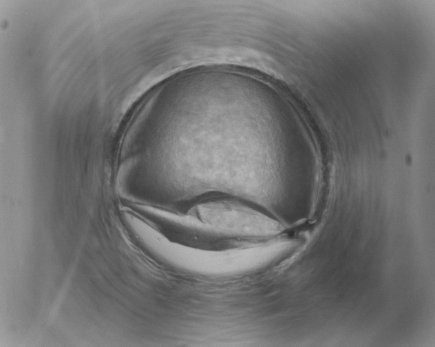 X0000053081505200508011952