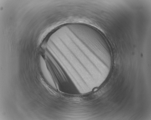 X0000053081507200508011952