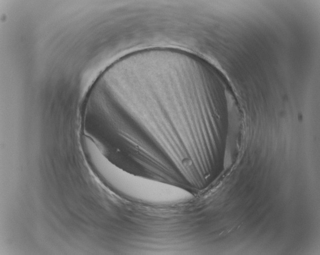 X0000053081508200508011952