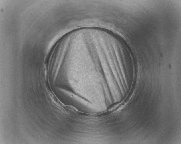 X0000053081509200508011952