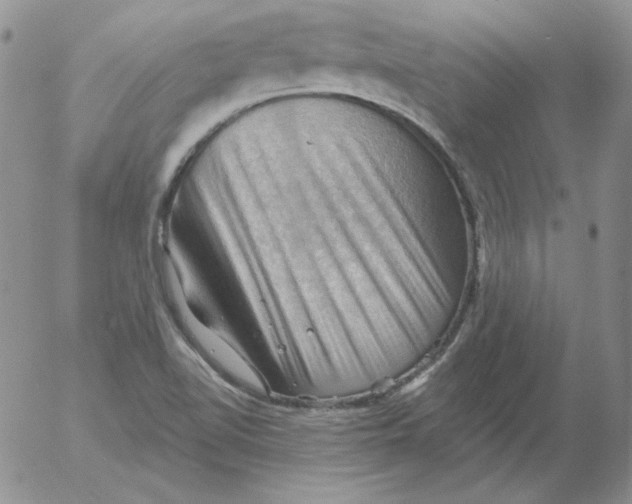 X0000053081510200508011952