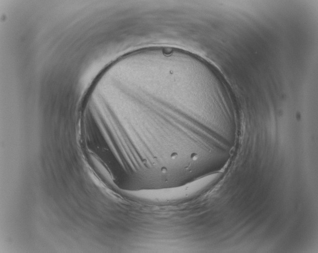 X0000053081511200508011952