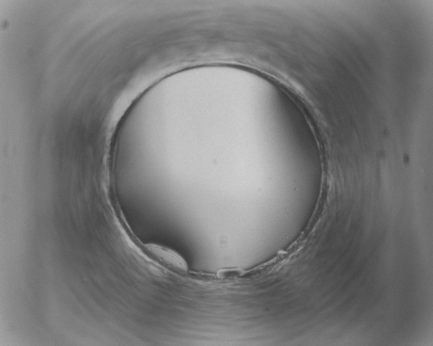 X0000053081512200508011952