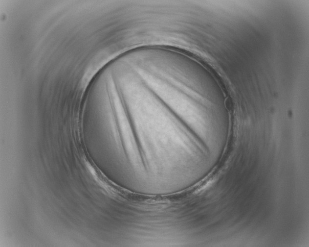 X0000053081513200508011952