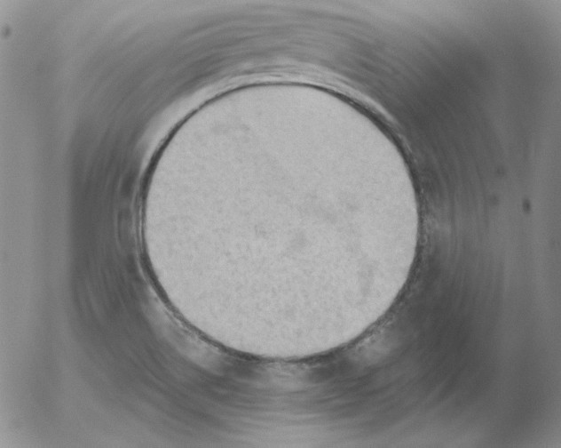 X0000053081514200508011953