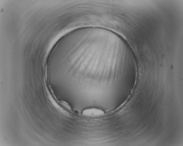 X0000053081515200508011953