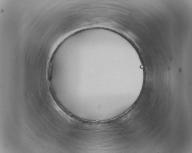 X0000053081516200508011953