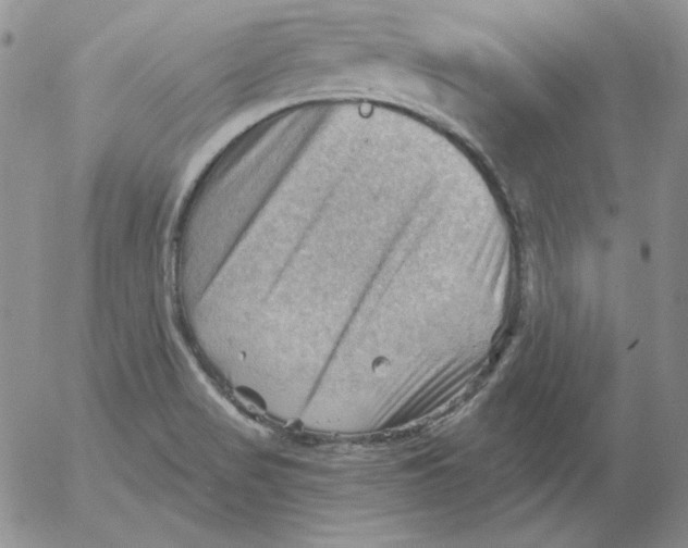 X0000053081517200508011953