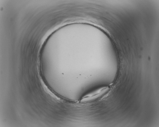 X0000053081518200508011953