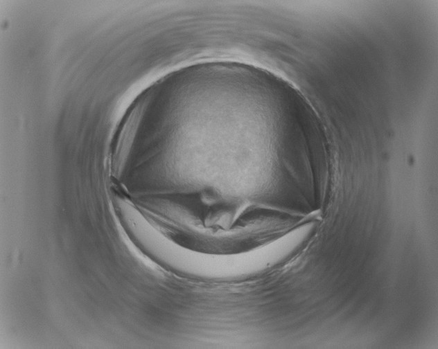 X0000053081519200508011953