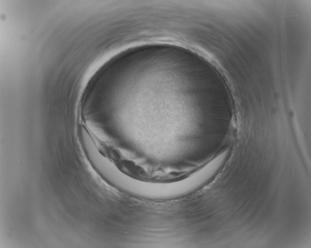 X0000053081520200508011953