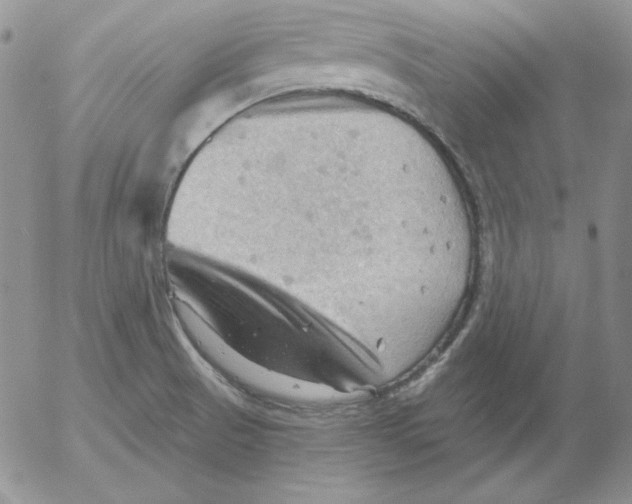 X0000053081521200508011953