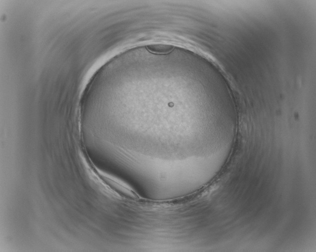 X0000053081522200508011953