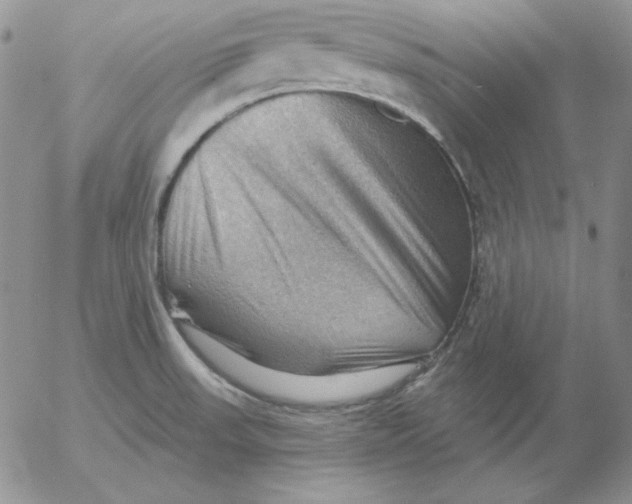 X0000053081523200508011953