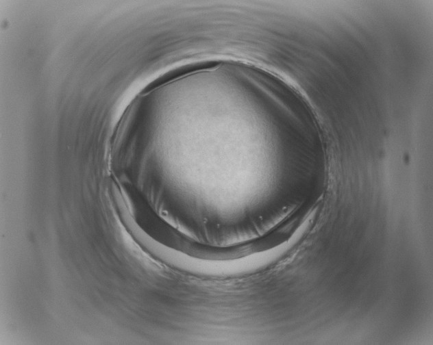 X0000053081524200508011953