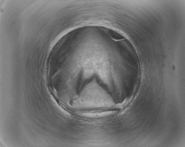 X0000053081525200508011953