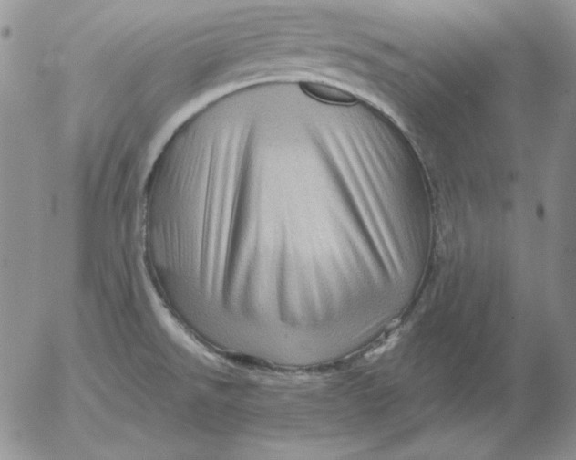 X0000053081526200508011953