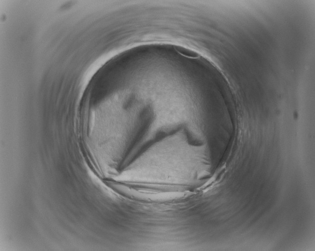 X0000053081527200508011953