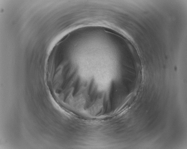 X0000053081528200508011953