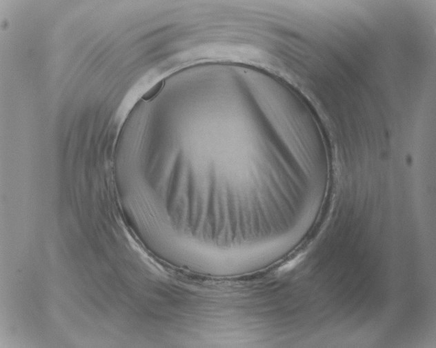 X0000053081529200508011953