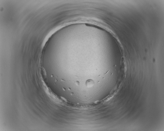 X0000053081530200508011953