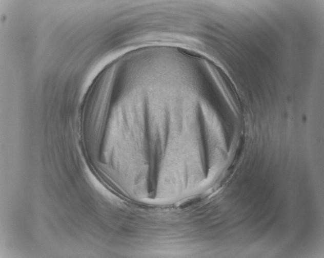 X0000053081531200508011953