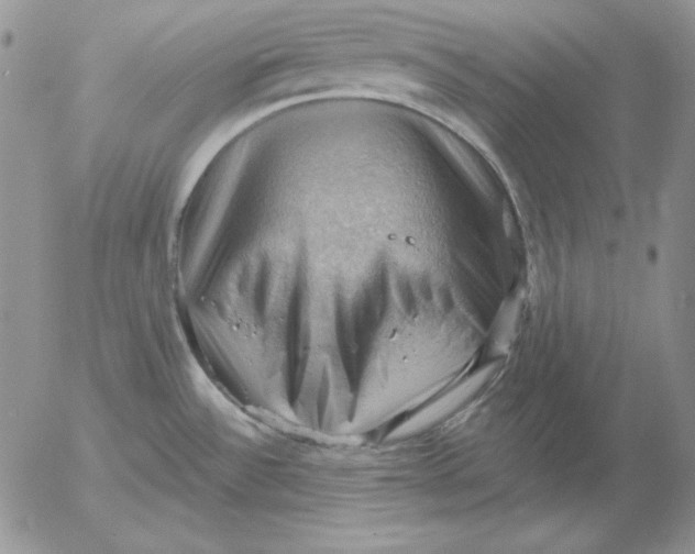 X0000053081532200508011953