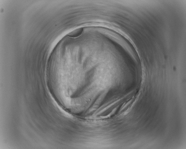 X0000053081533200508011953