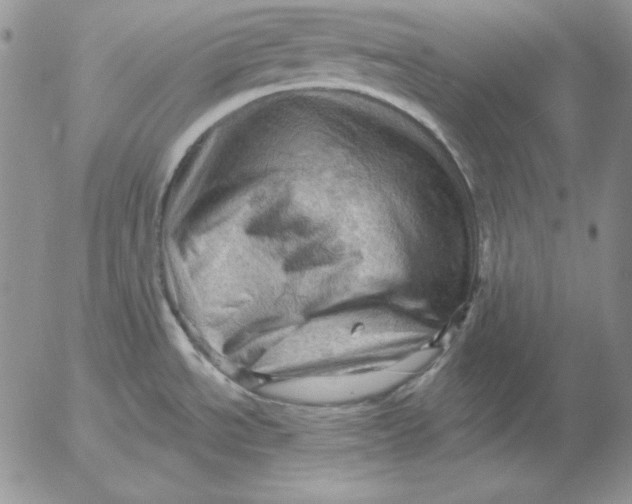 X0000053081534200508011953