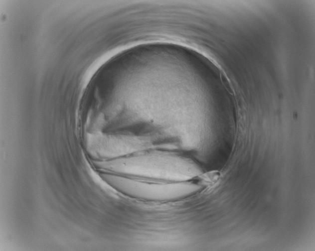 X0000053081535200508011953