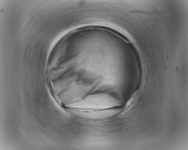 X0000053081536200508011953