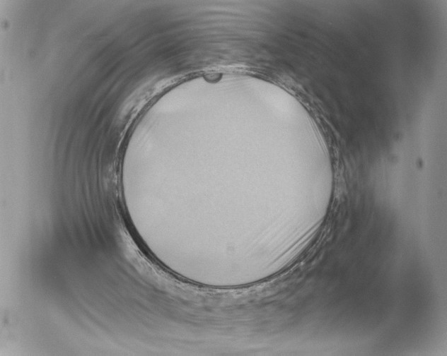 X0000053080002200508081257