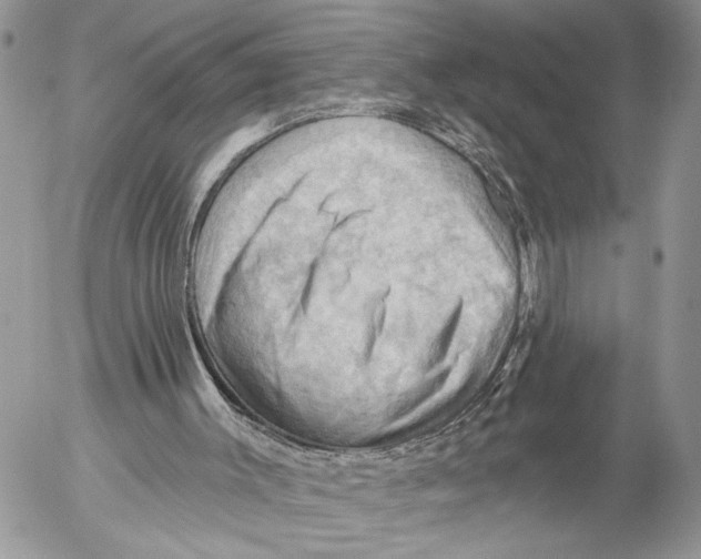 X0000053080003200508081257