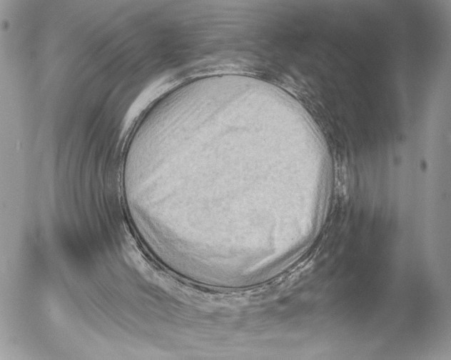 X0000053080004200508081257