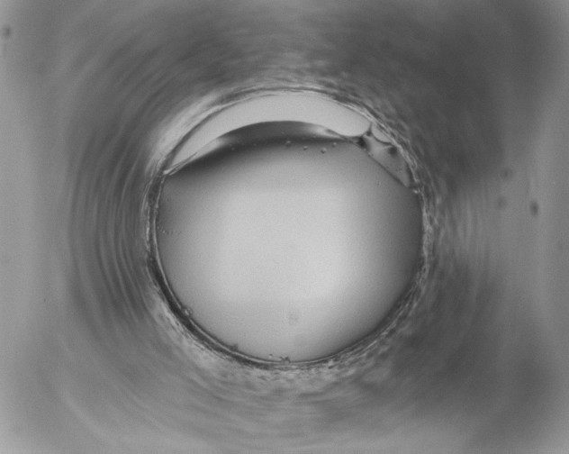 X0000053080005200508081257