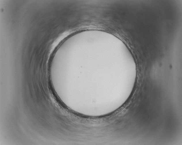 X0000053080008200508081257