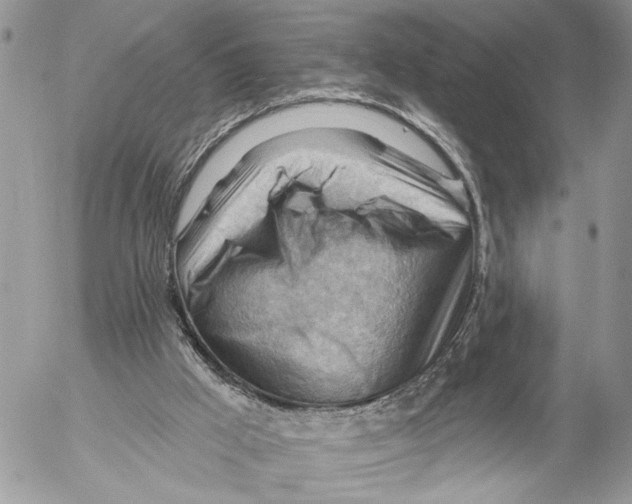 X0000053080009200508081257