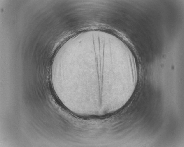 X0000053080010200508081257