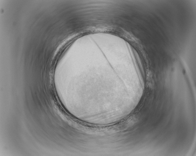 X0000053080012200508081257