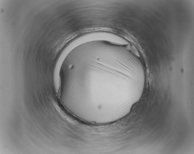 X0000053080013200508081257