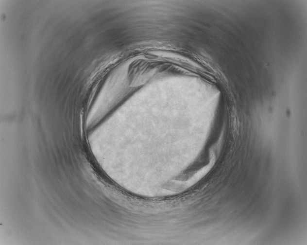 X0000053080014200508081257