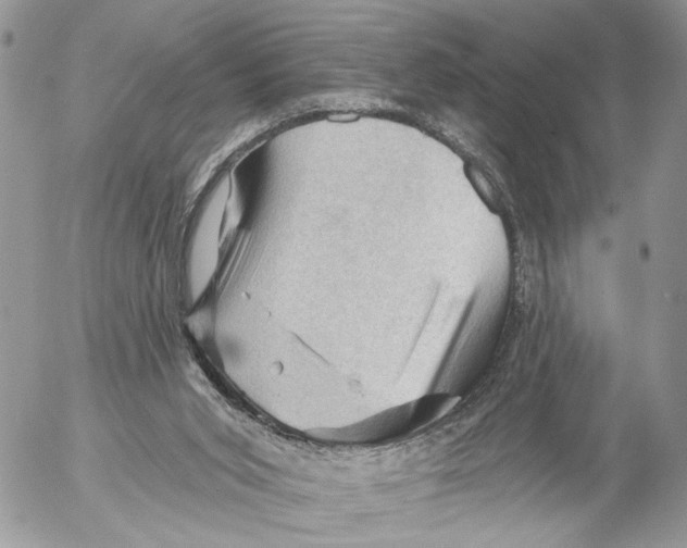 X0000053080015200508081257