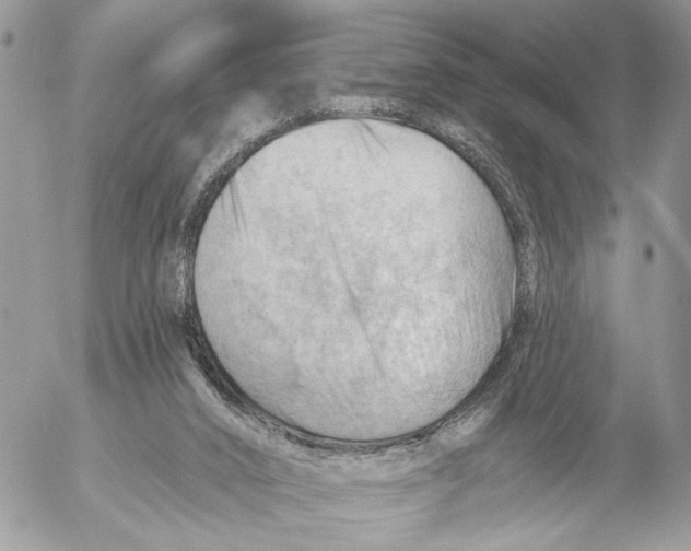 X0000053080016200508081257