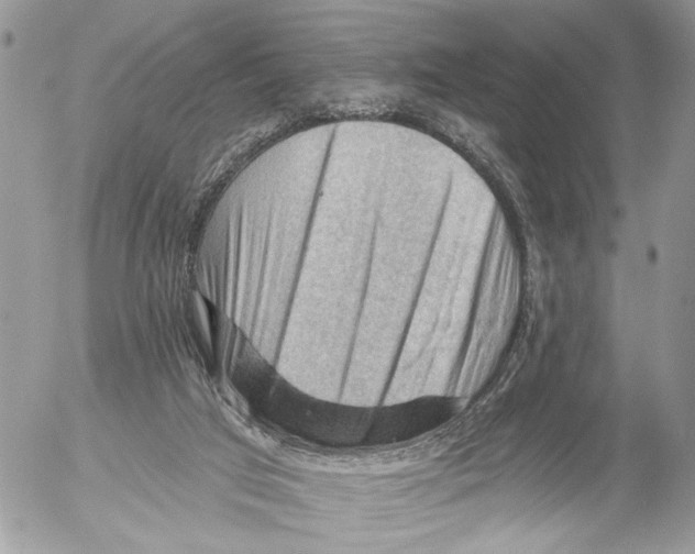 X0000053080017200508081257