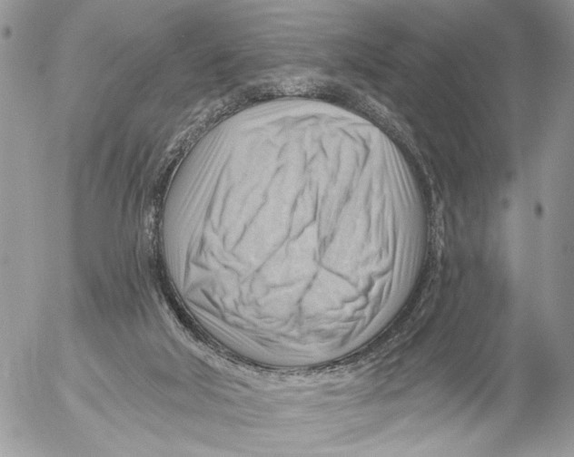 X0000053080018200508081257