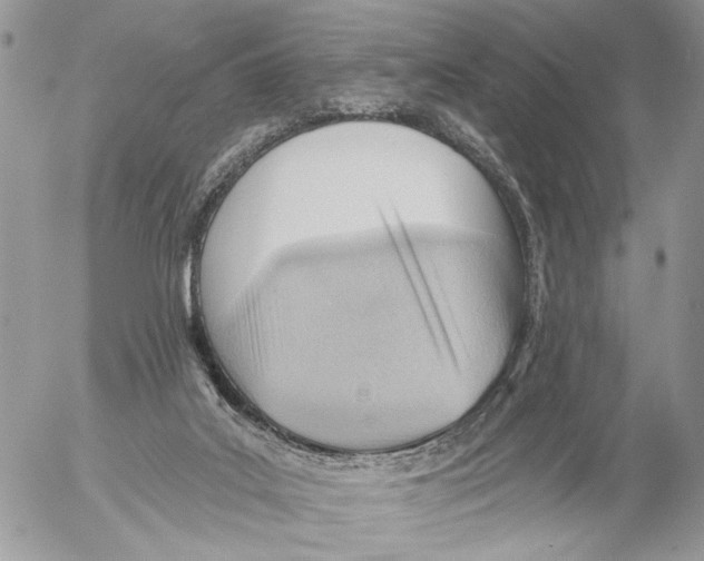 X0000053080019200508081257