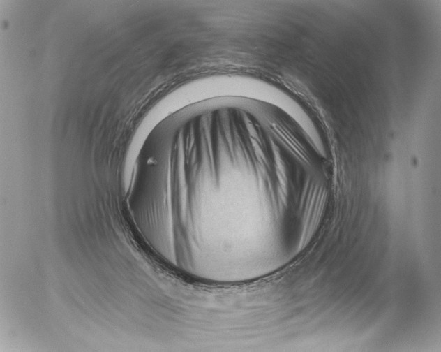 X0000053080021200508081257