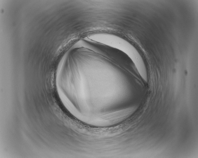 X0000053080023200508081257